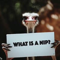 what is a nip