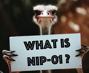 what is nip-01