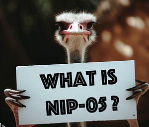 what is nip-05