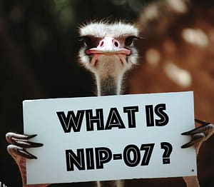 what is nip-07