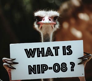 what is NIP-08